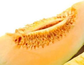 吃蜜瓜的音乐,蜜瓜旋律下的夏日风情