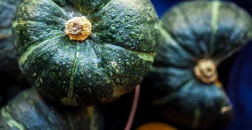 胖莎吃瓜,揭秘娱乐圈那些不为人知的幕后故事