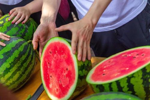 东北吃瓜大学,吃瓜文化下的青春生活