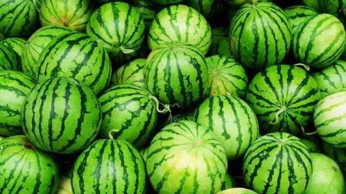 吃瓜最火爆,揭秘娱乐圈最火爆事件幕后真相