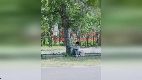 吃瓜短剧荣归故里,吃瓜短剧中的逆袭人生