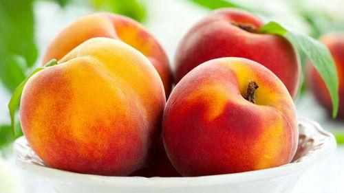 桃桃吃瓜事件,揭秘网络舆论的狂欢与反思