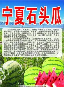 宁夏今日吃瓜爆料,揭秘今日热点事件背后的真相