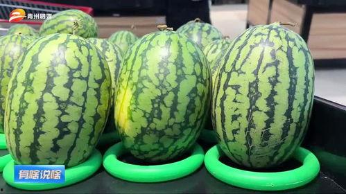 吃瓜网山东潍坊,瓜乡风情，美食之旅