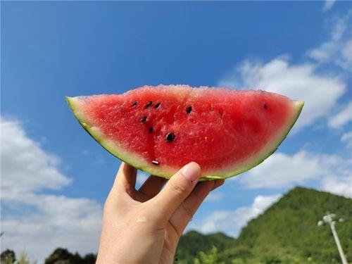 去那吃瓜,跟随“去那吃瓜”探索各地特色美食之旅