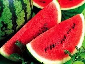 6什么吃瓜,网络热词背后的文化现象