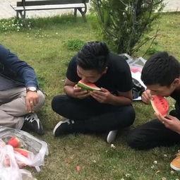 曹县吃瓜视频最新观看,全网热议，观看量飙升背后的秘密