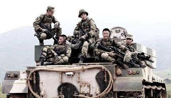 理性战狼深度吃瓜