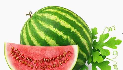 女子在水边吃瓜,女子悠闲夏日时光