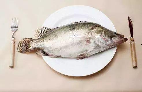 江鱼吃瓜队长,揭秘网络红人的魅力与影响力