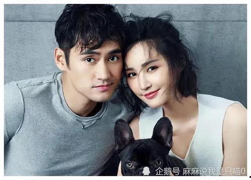 吃瓜小媛明星,明星背后的真实生活