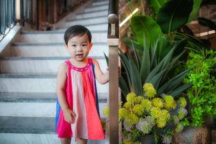 成都罗燕吃瓜,揭秘网络热议背后的真相