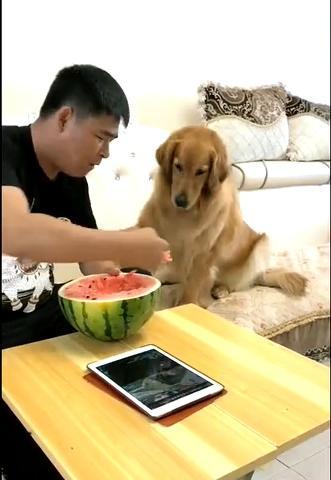 吃瓜妞的父亲,揭秘背后不为人知的故事