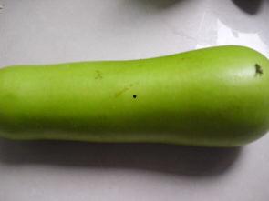 葫芦瓜怎样吃健康,营养美味两不误