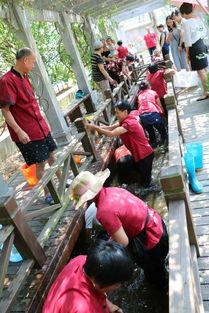 员工摸鱼吃瓜视频大全,趣味吃瓜视频大盘点