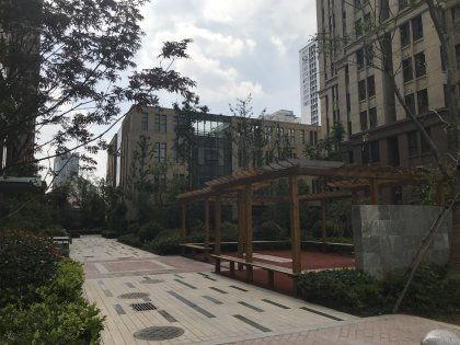 界首温馨家园西区吃瓜,夏日吃瓜盛宴，共享清凉时光