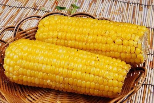小瓜能和玉米一起吃吗,健康美味两不误
