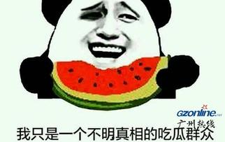 网络潮语吃瓜啥意思,揭秘网络热词“吃瓜”背后的趣味与内涵