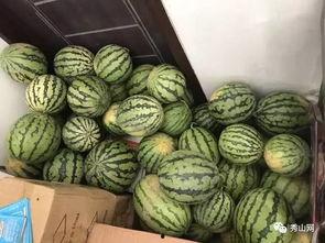 广艺吃瓜群,揭秘校园生活那些事儿