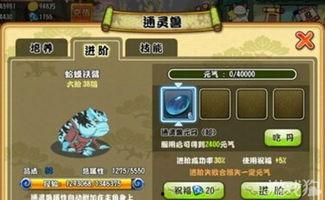 通灵兽吃瓜,通灵兽的神秘瓜界冒险