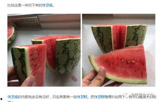 天人榜吃瓜,揭秘神秘榜单背后的吃瓜故事