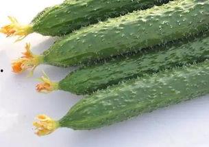 吃瓜有益身心吗,揭秘吃瓜对身心健康的益处