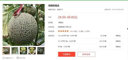 今日吃大瓜小说,揭秘小说中的惊天秘密与情感纠葛