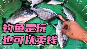 吃瓜的阿邱,揭秘娱乐圈幕后故事