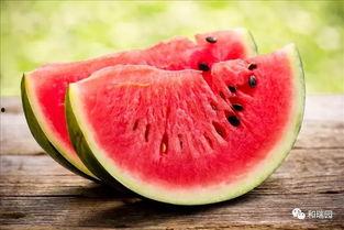 作者米二吃瓜,揭秘娱乐圈幕后故事