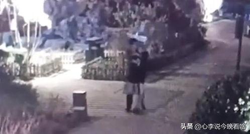 太谷吃瓜事件视频,一场引发热议的网络狂欢