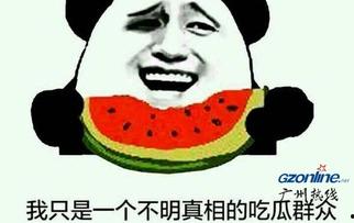 不明真像吃瓜,一场吃瓜群众的狂欢之旅