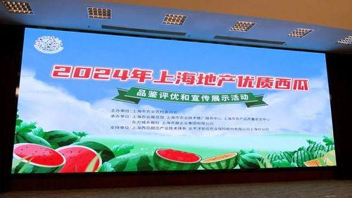 吃瓜上海地产,吃瓜群众视角下的楼市变迁